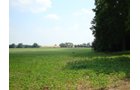 Property photo 27 - 160 Acres Offered in 6 Tracts